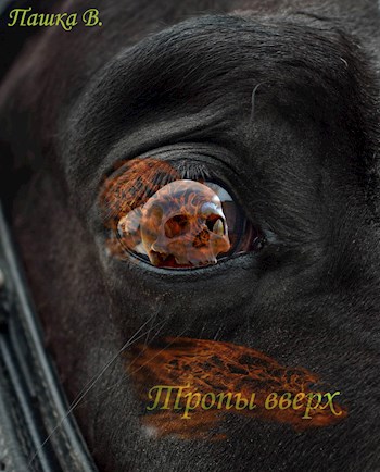 Обложка книги Тропы вверх