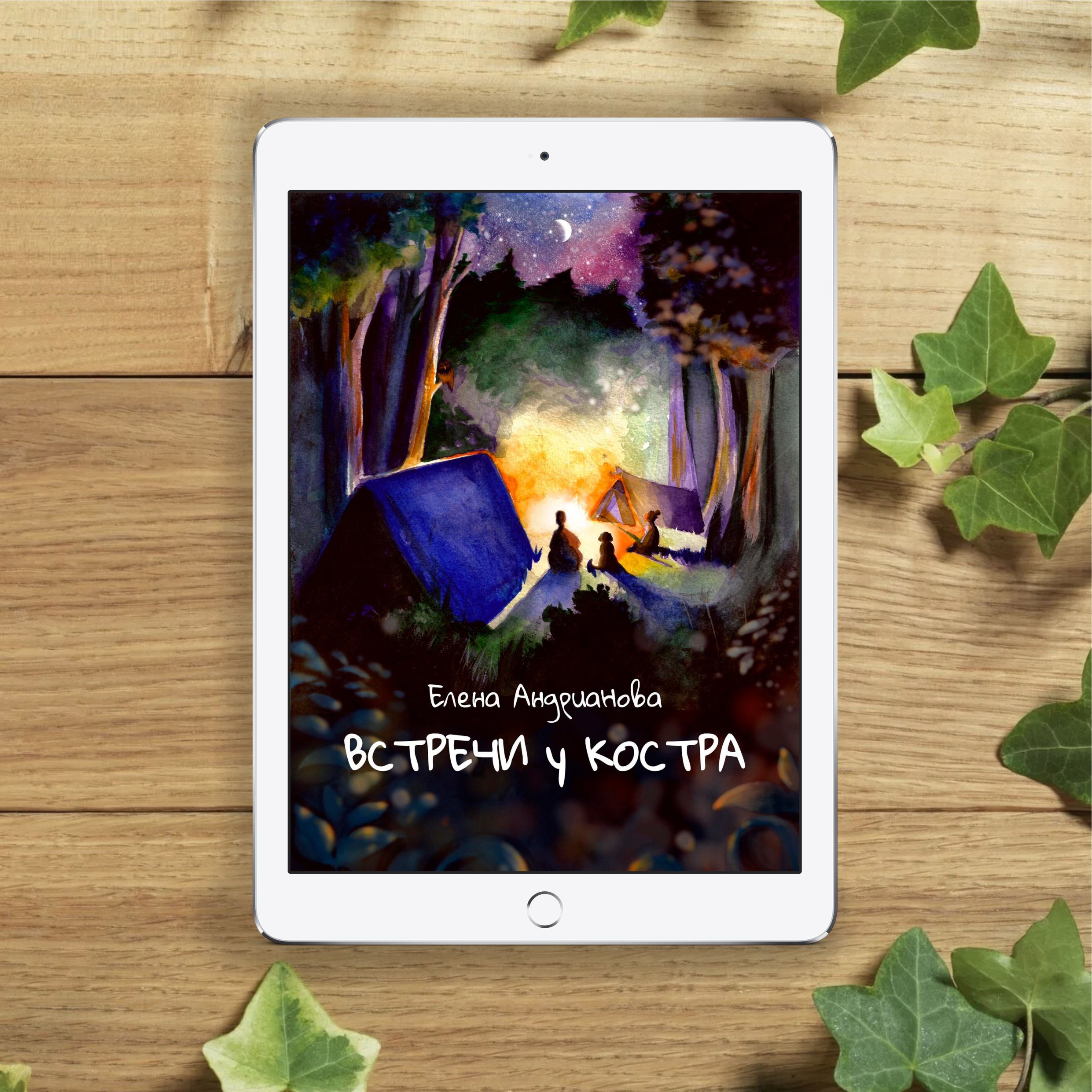 Обложка книги Встречи у костра