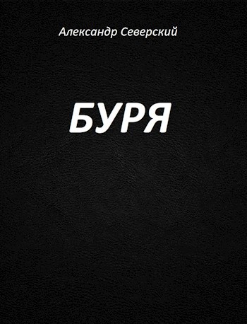 Обложка книги Буря
