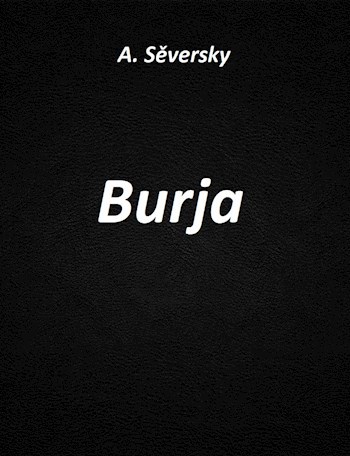 Обложка книги Burja