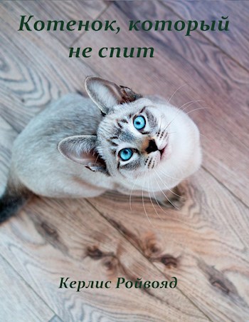 Обложка книги Котенок который не спит