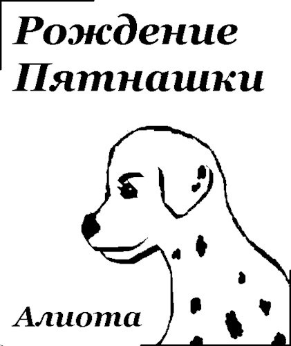 Обложка книги Рождение Пятнашки