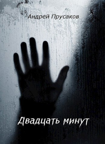 Обложка книги Двадцать минут
