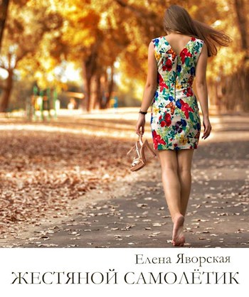 Обложка книги Жестяной самолетик