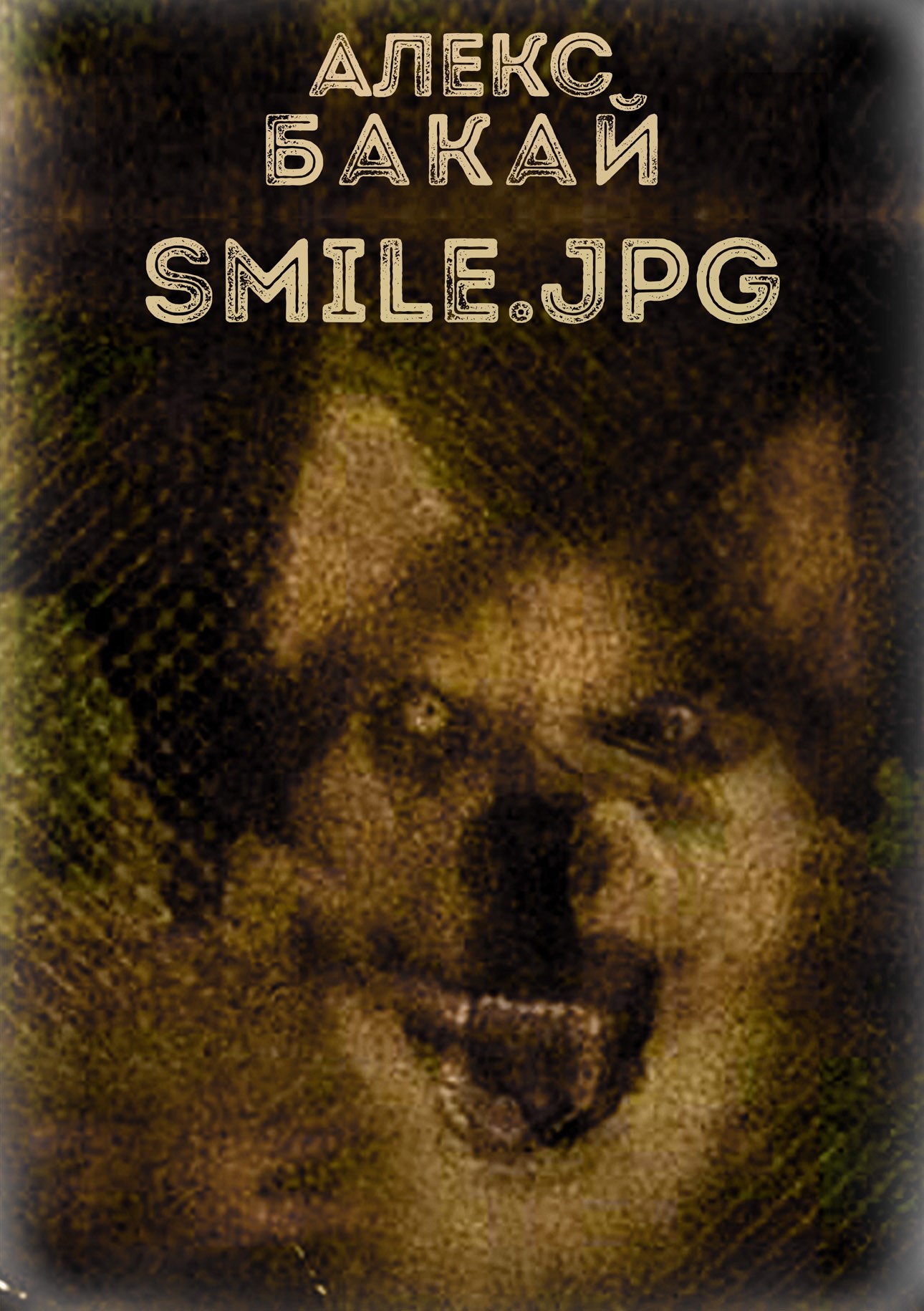 Обложка книги Smile.jpg