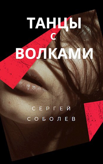 Обложка книги Танцы с волками