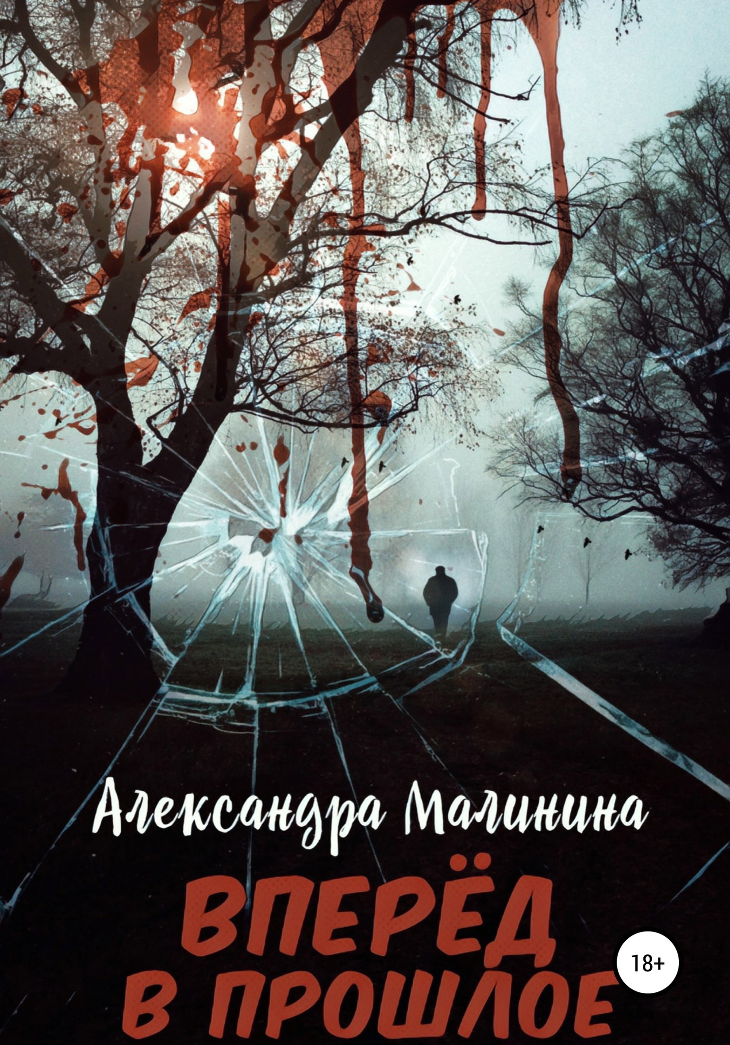 Обложка книги Вперёд в прошлое