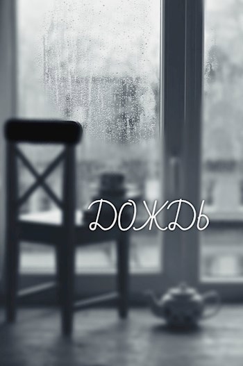 Обложка книги ДОЖДЬ