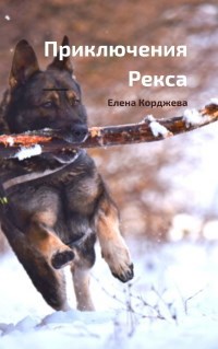 Обложка книги Приключения Рекса