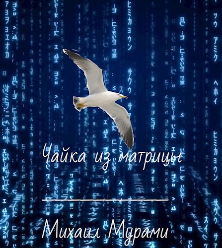 Обложка книги Чайка из матрицы
