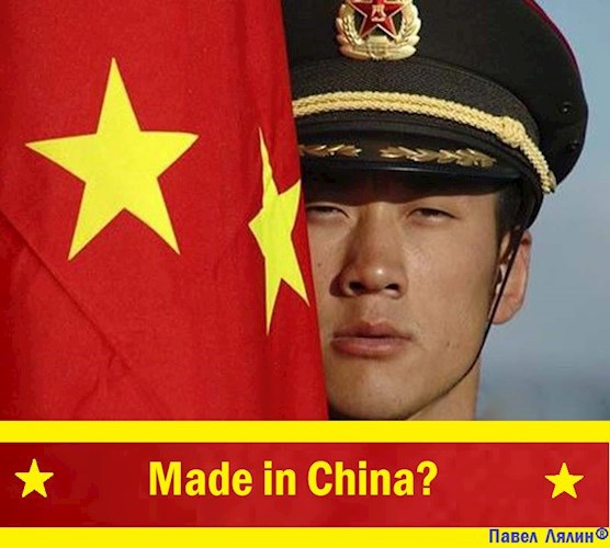 Обложка книги Made in China?