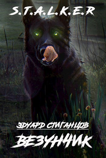 Обложка книги Везунчик