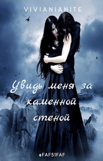 Обложка книги Увидь меня за каменной стеной