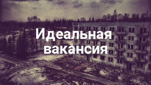 Обложка книги Идеальная вакансия