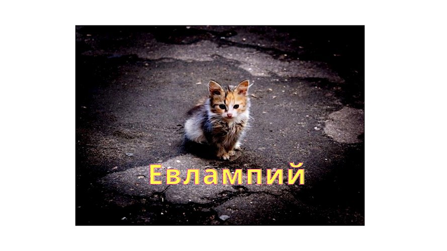 Обложка книги Евлампий