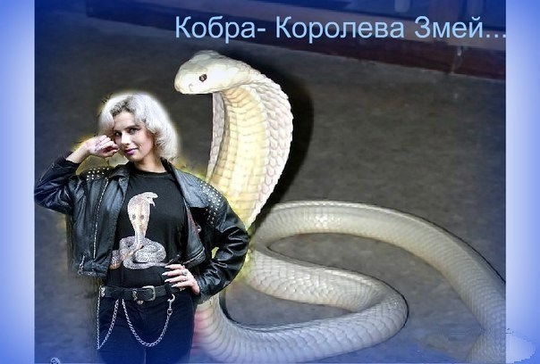 Обложка книги Мои тотемы