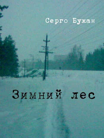 Обложка книги Зимний лес