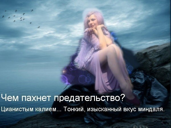 Обложка книги Запах предательства