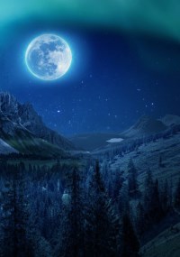 Обложка книги Побег из леса