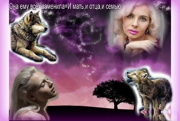 Обложка книги Мальчик мой.