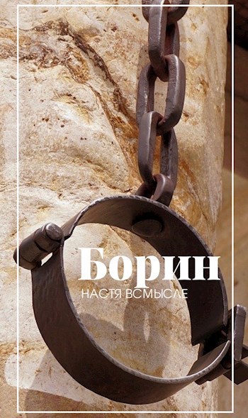 Обложка книги Борин