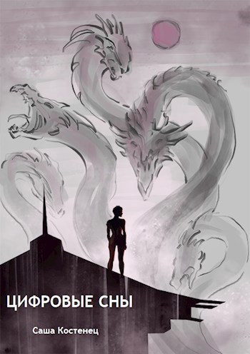 Обложка книги ЦИФРОВЫЕ СНЫ