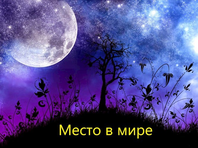 Обложка книги Место в мире