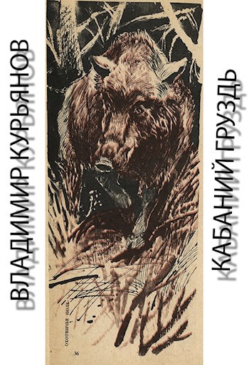Обложка книги Кабаний Груздь