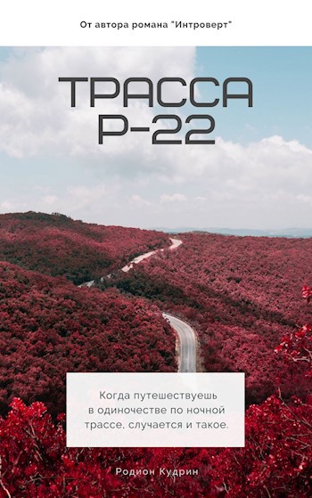 Обложка книги Трасса Р-22