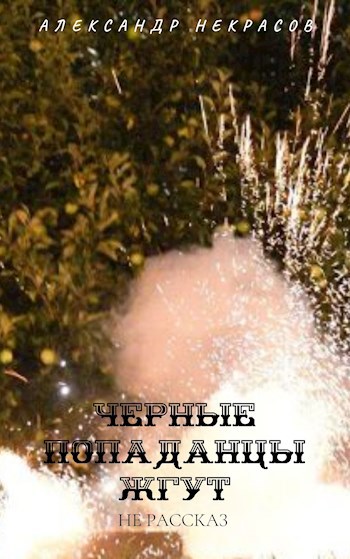 Обложка книги Черные попаданцы жгут