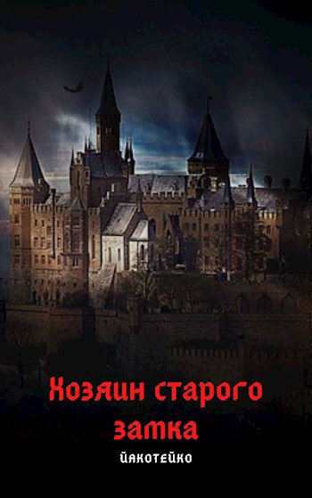 Обложка книги хозяин старого замка