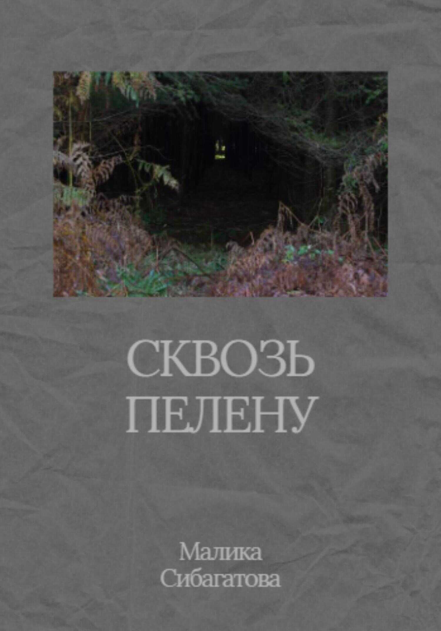 Обложка книги Сквозь пелену