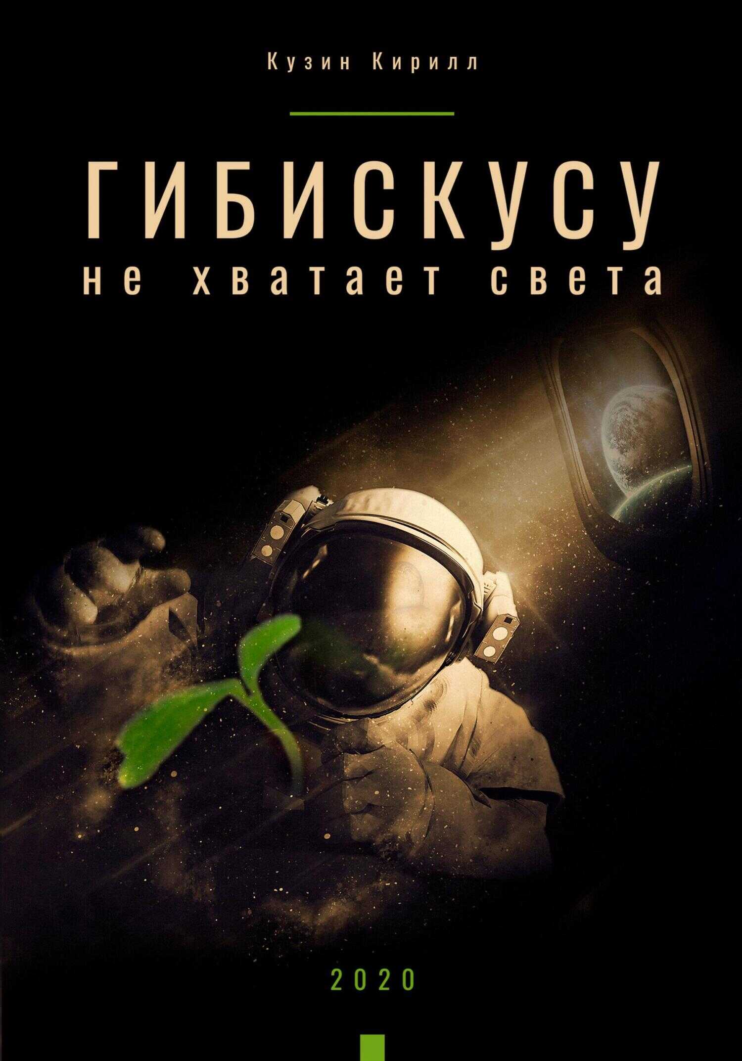 Обложка книги Гибискусу не хватает света