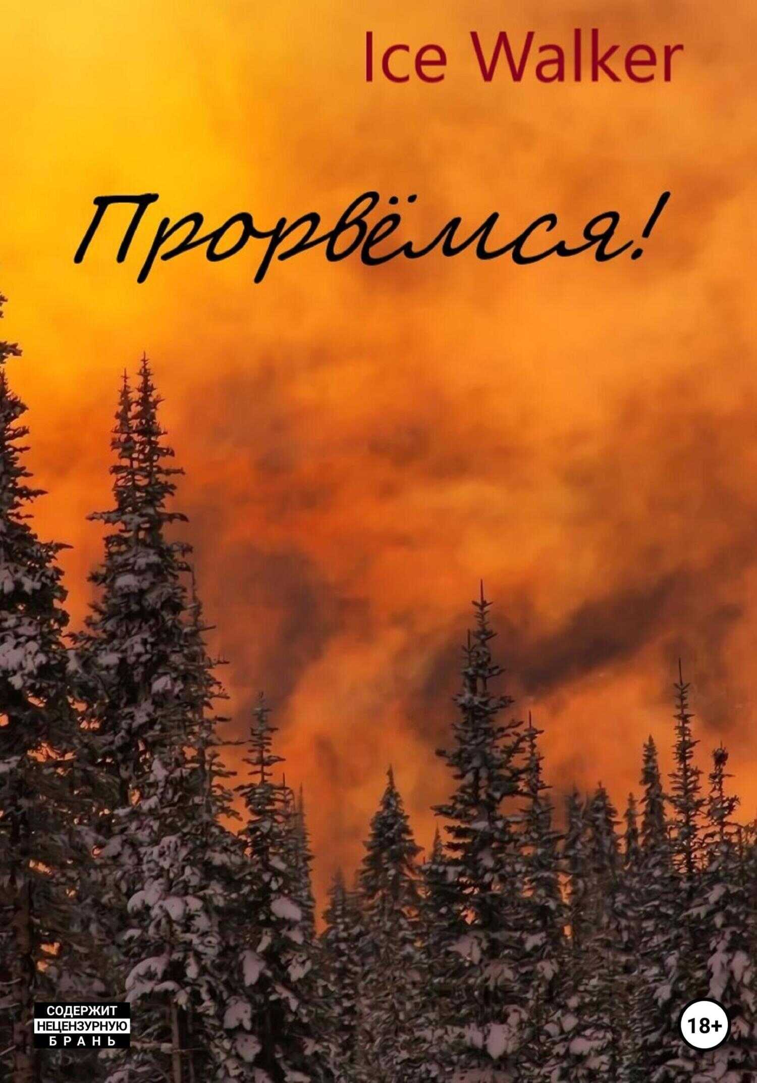 Обложка книги Прорвёмся!