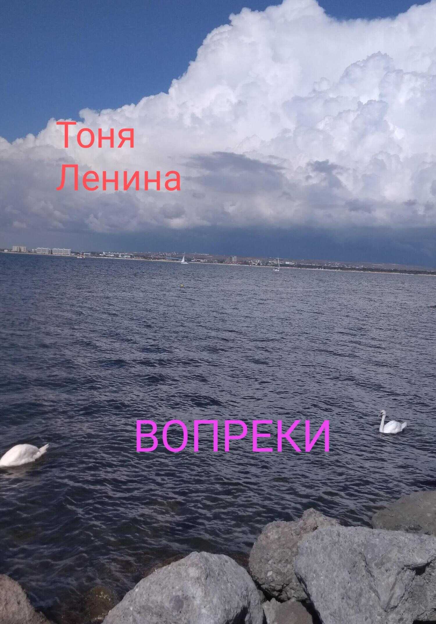 Обложка книги Вопреки