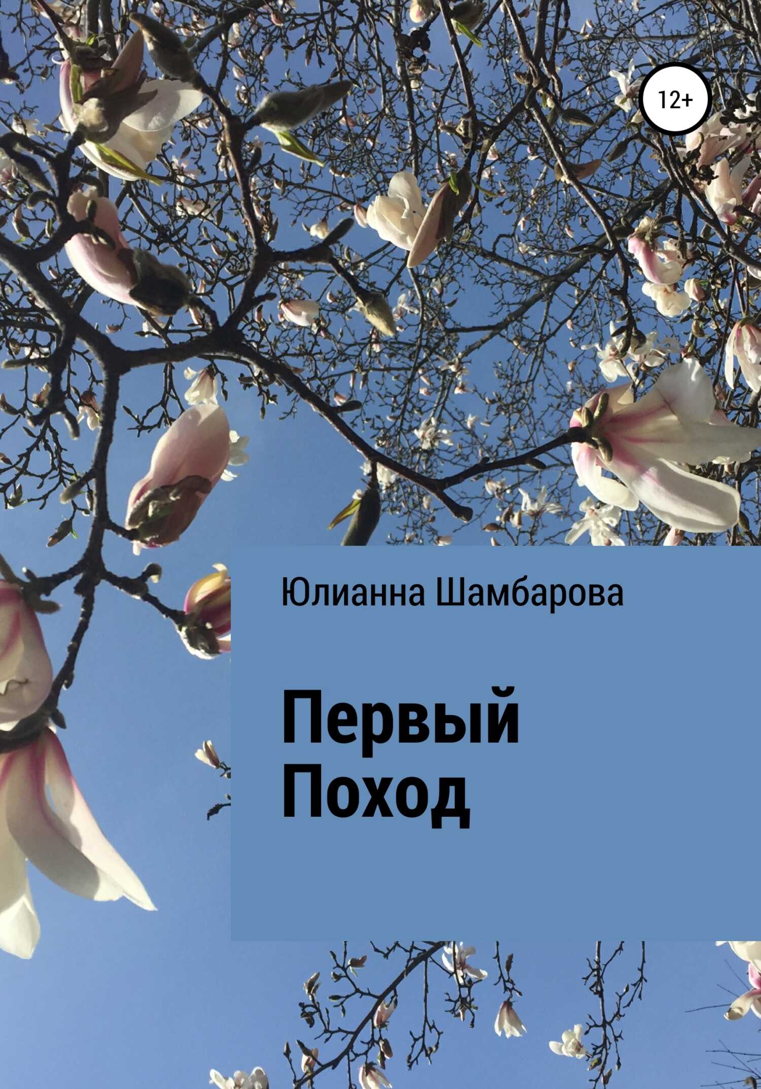 Обложка Первый поход