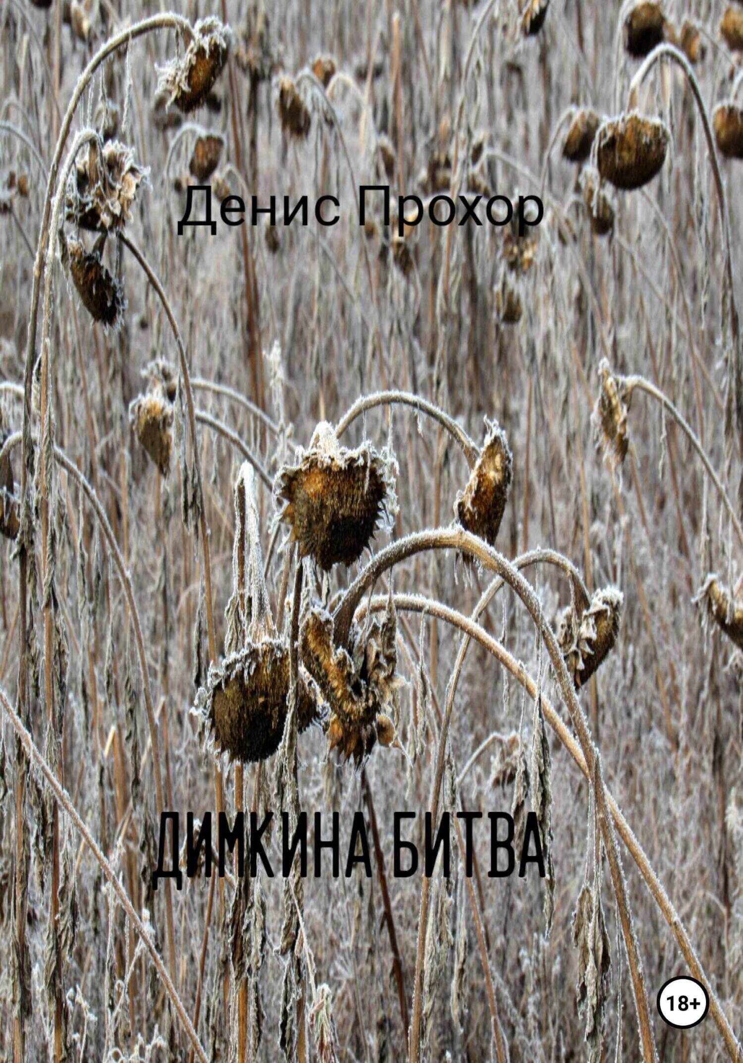 Обложка книги Димкина битва