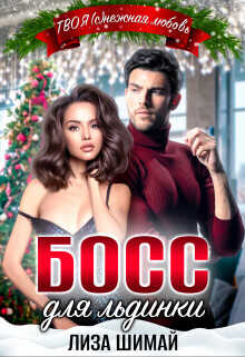 Обложка книги Босс для льдинки