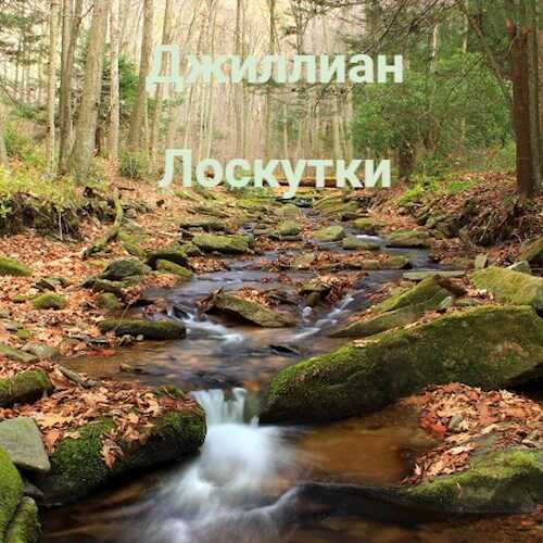 Обложка книги Лоскутки