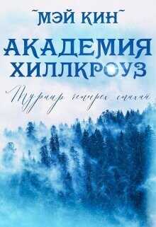 Обложка книги Турнир четырёх стихий