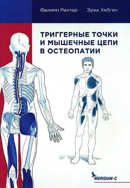 Обложка книги Триггерные точки и мышечные цепи в остеопатии