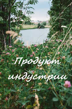 Обложка книги Продукт индустрии