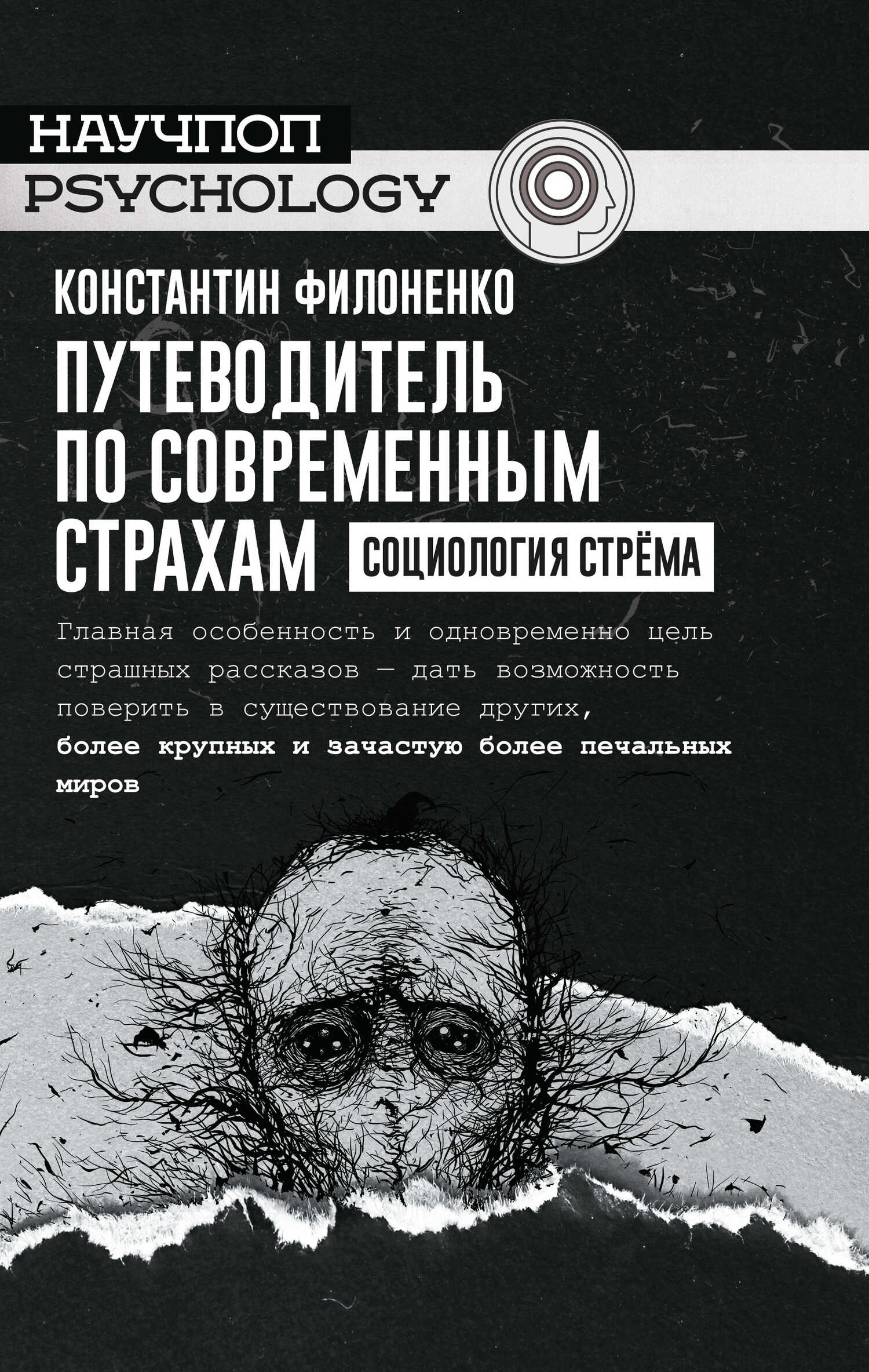 Обложка книги Путеводитель по современным страхам. Социология стрёма
