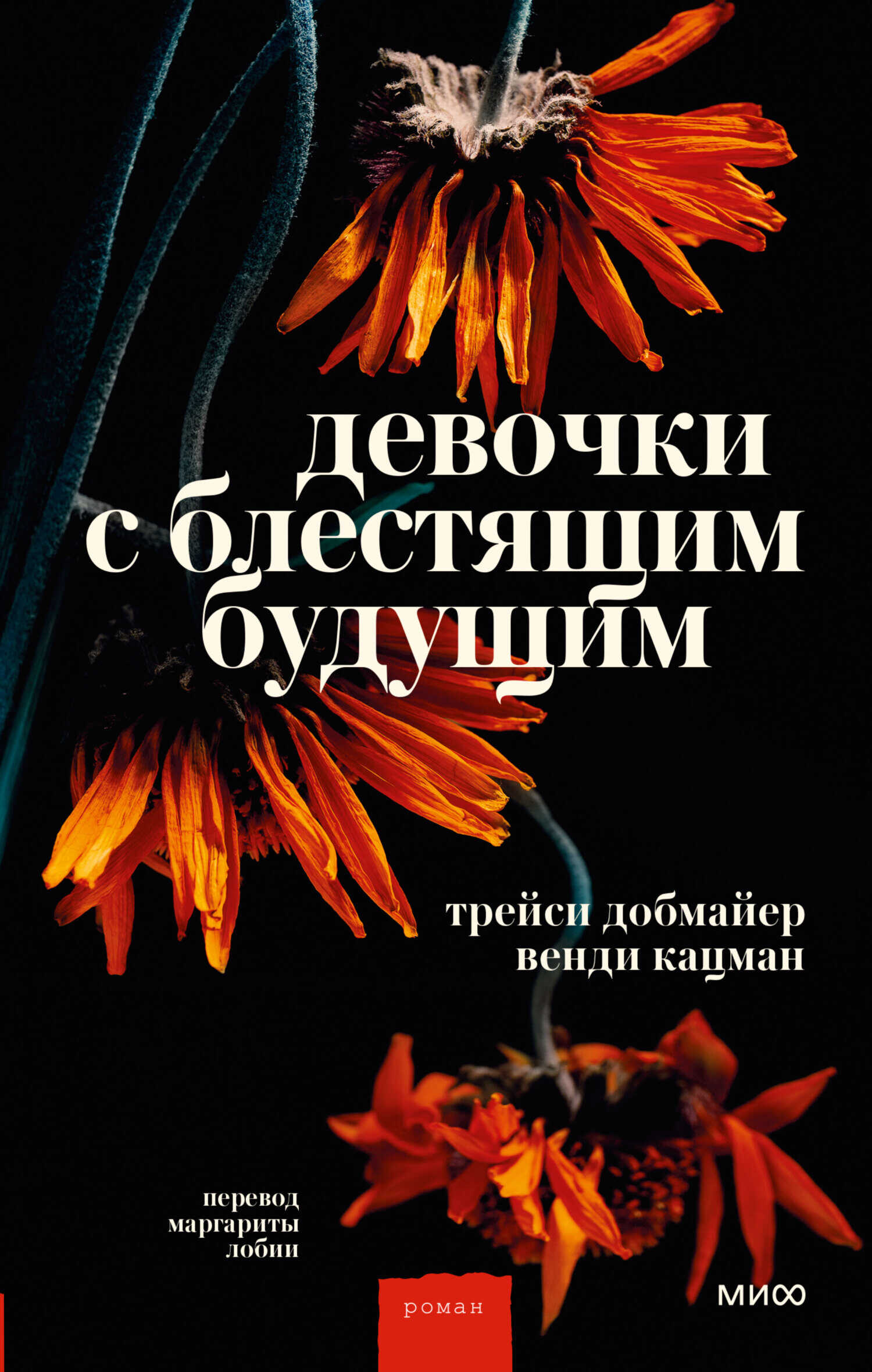 Обложка книги Девочки с блестящим будущим
