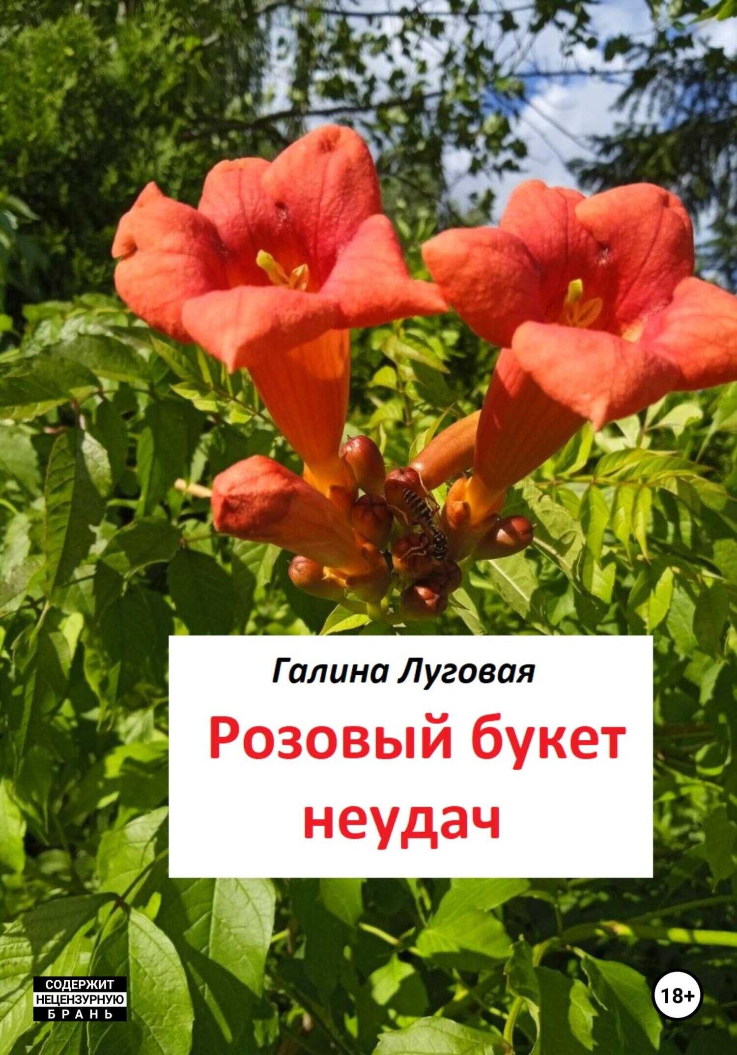 Обложка книги Розовый букет неудач