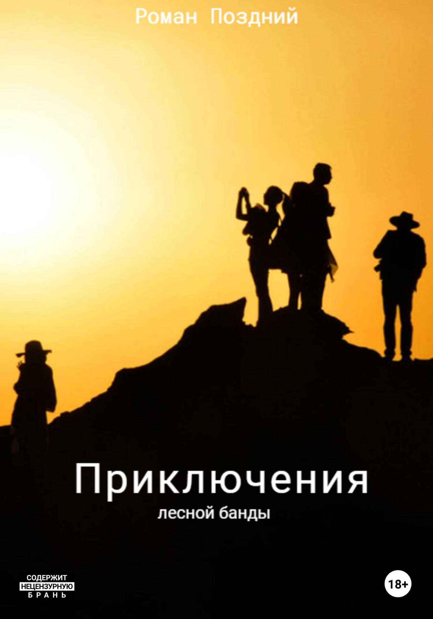 Обложка книги Приключения лесной банды