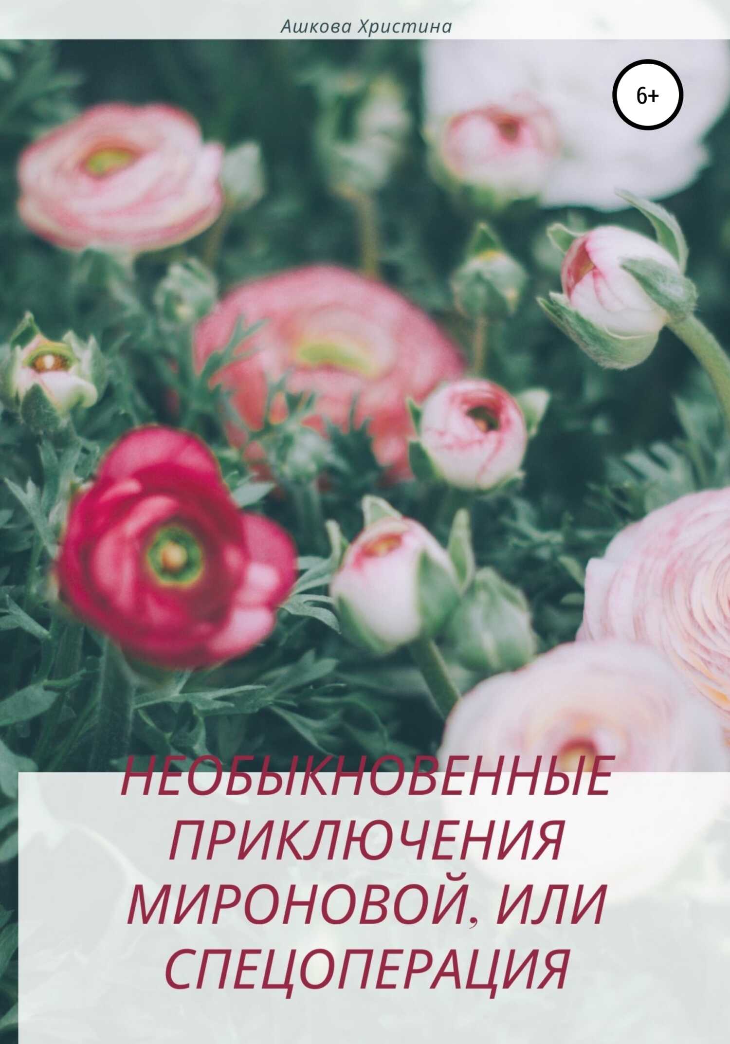 Обложка книги Необыкновенные приключения Мироновой, или Спецоперация
