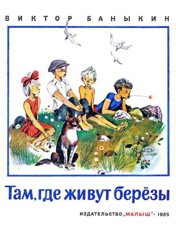 Обложка книги Там, где живут березы