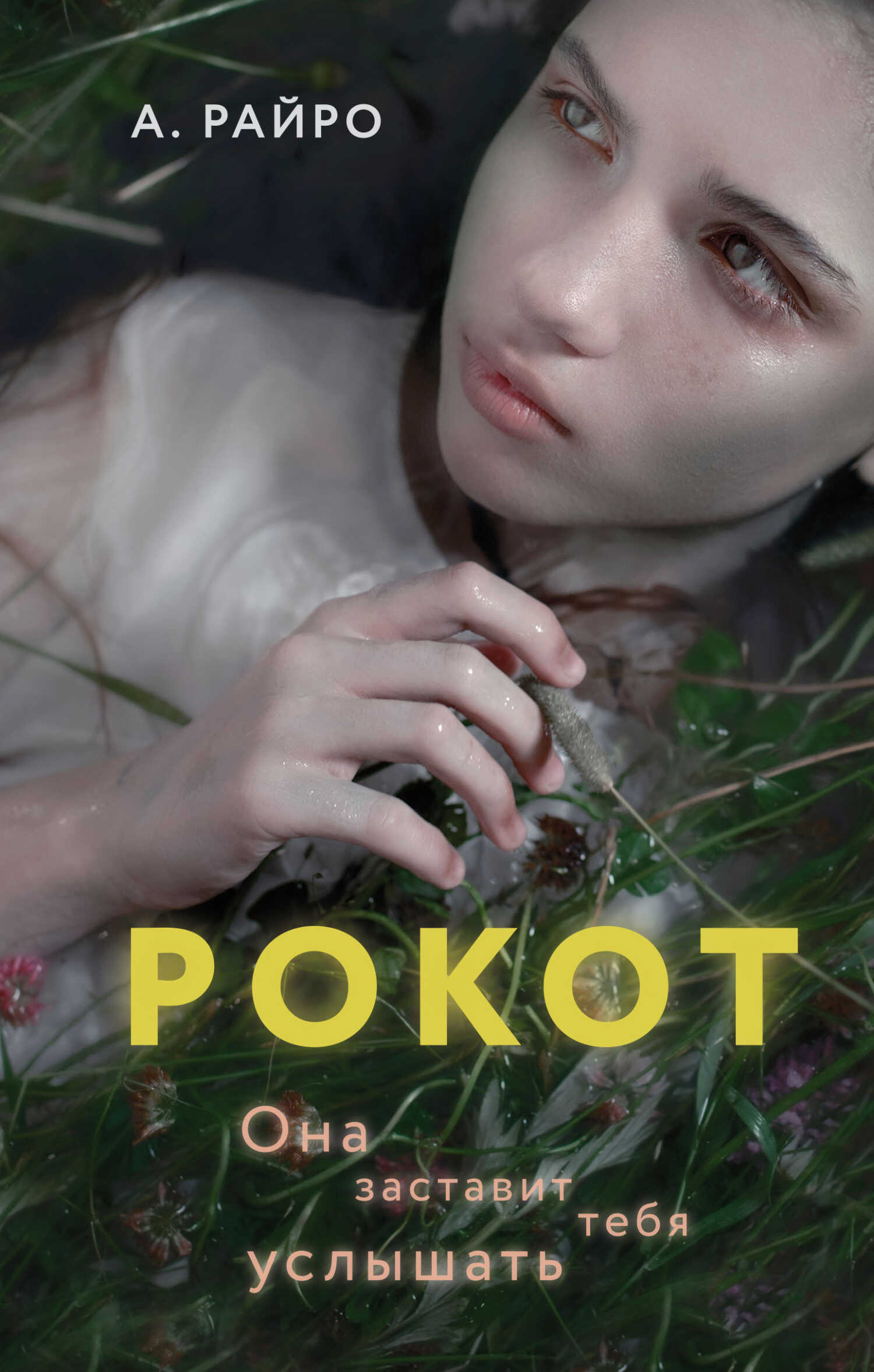 Обложка книги Рокот