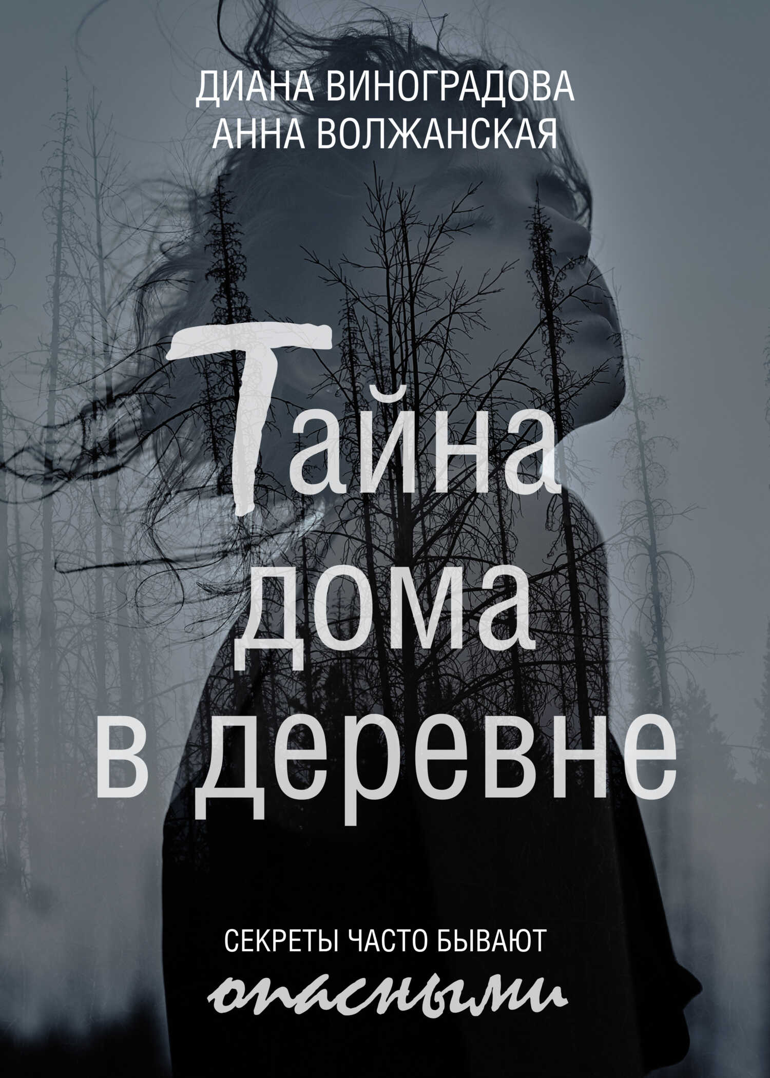 Обложка книги Тайна дома в деревне